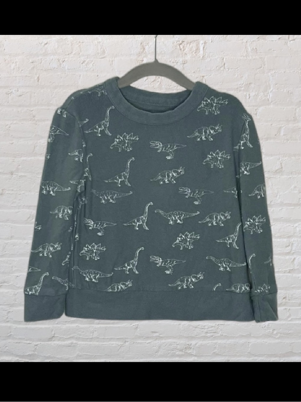 Chaser Dino Print Sweatshirt